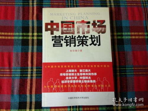 中國市場營銷策劃 洞察、策略與本土化執行